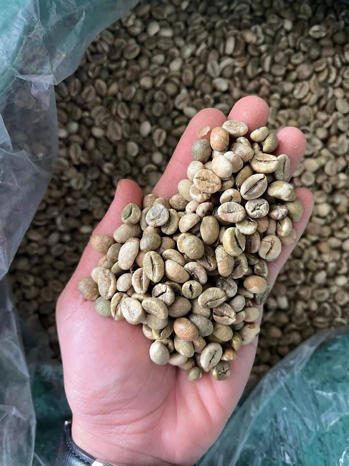 Espresso Roast – Whole Beans