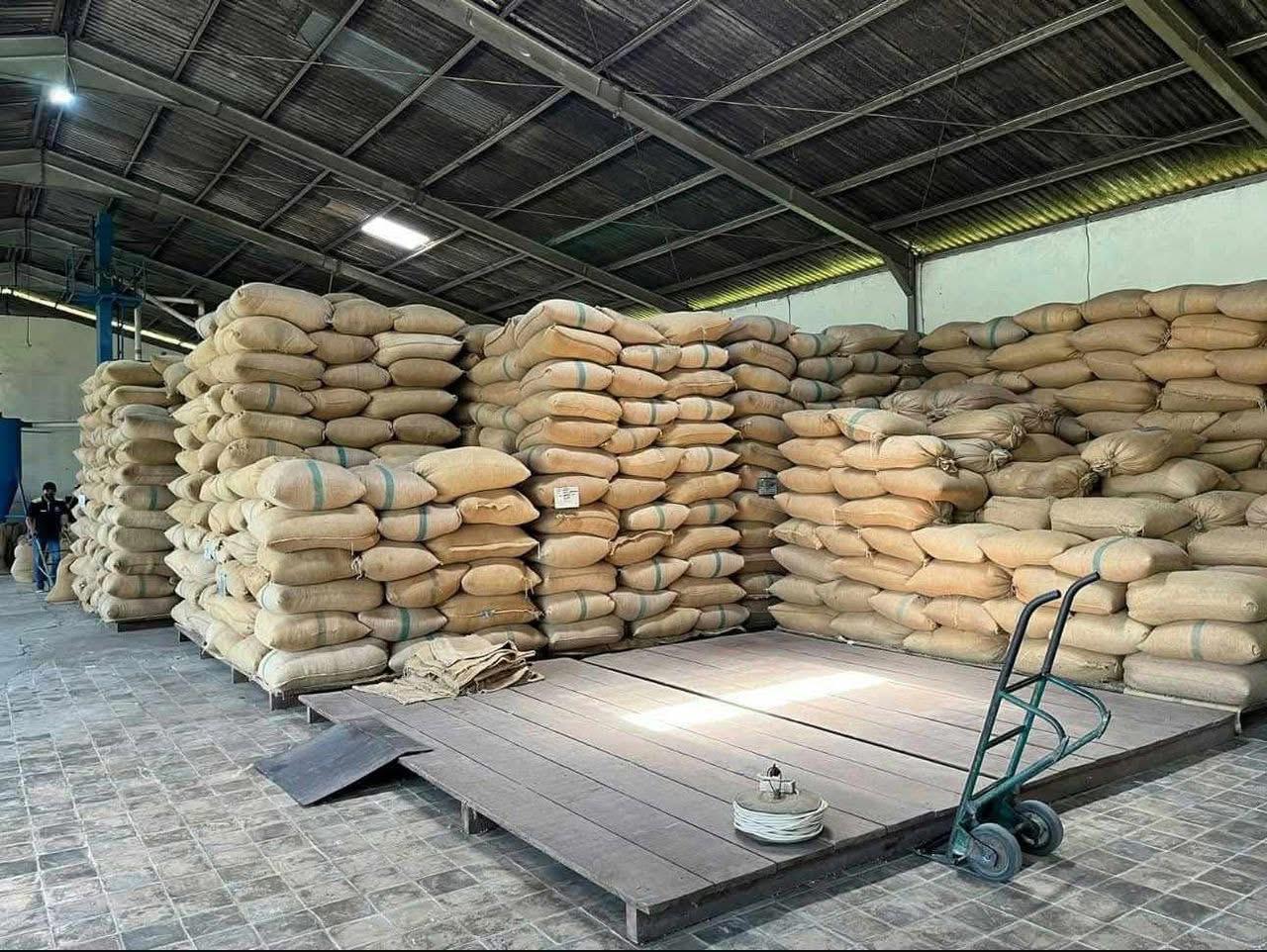 Processing & Washing Stations